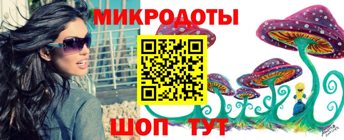 Губкин  Галлюциногенные грибы MAGIC MUSHROOMS  Вход с VPN  Псилоцибиновые грибы Psilocybe 